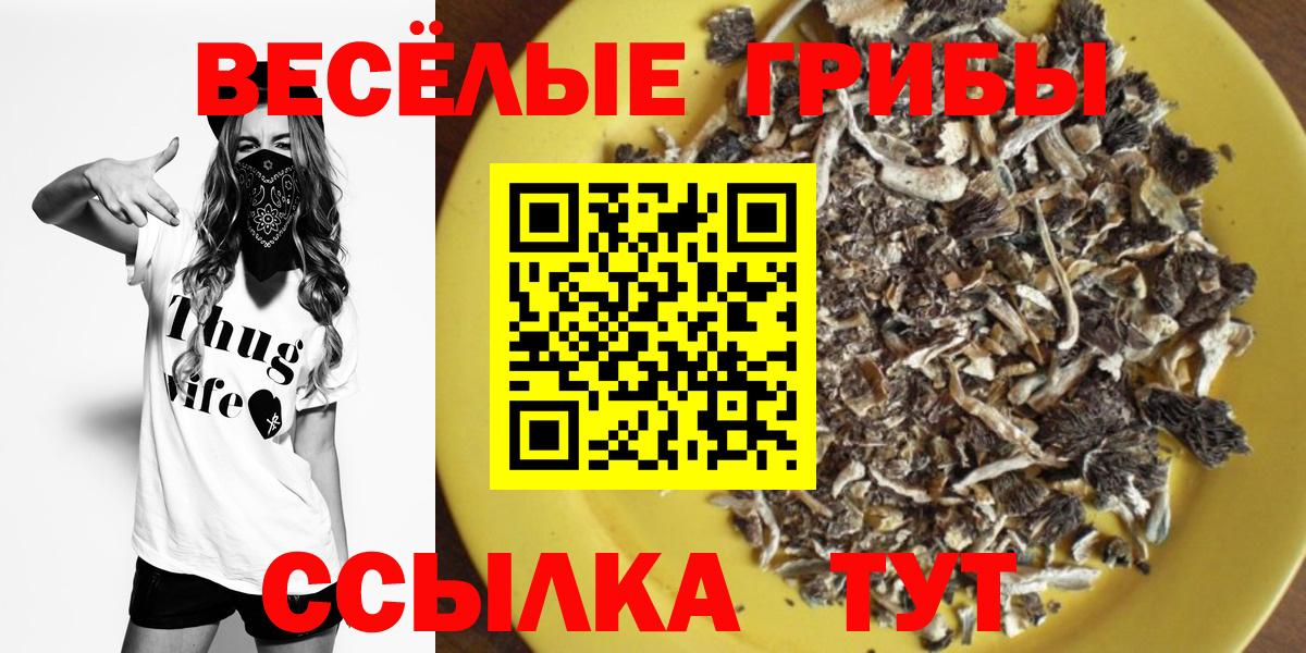 Галлюциногенные грибы Psilocybe  Вход с VPN  Хасавюрт 