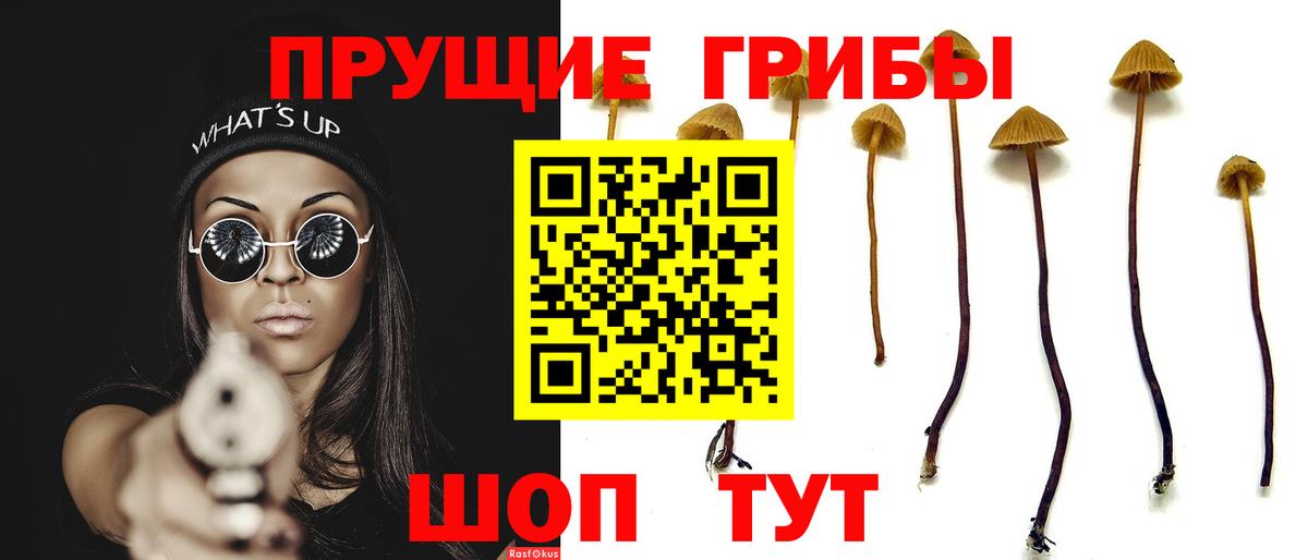 Псилоцибиновые грибы MAGIC MUSHROOMS Хасавюрт
